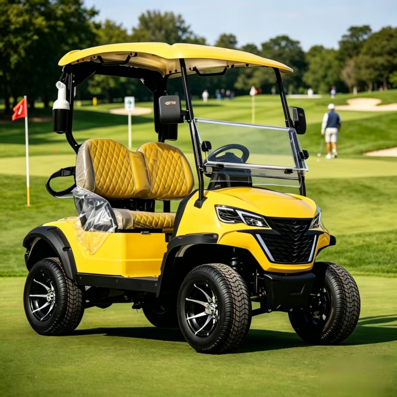HKBG 2 seater Golf Cart Customizable golf carts