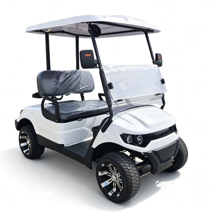 2 Passenger Electric Golf Buggy Cart