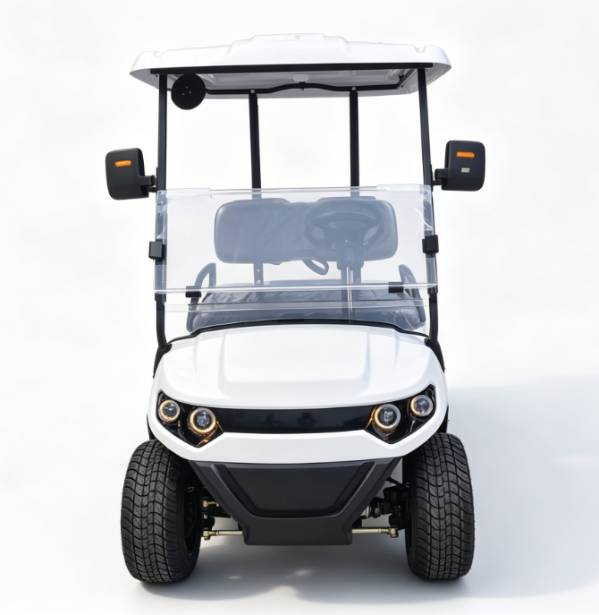 2 Passenger Electric Golf Buggy Cart