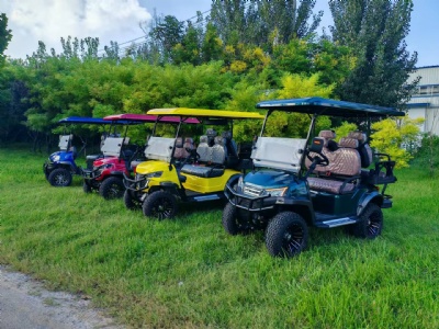 我厂电动高尔夫球车电池技术取得新突破