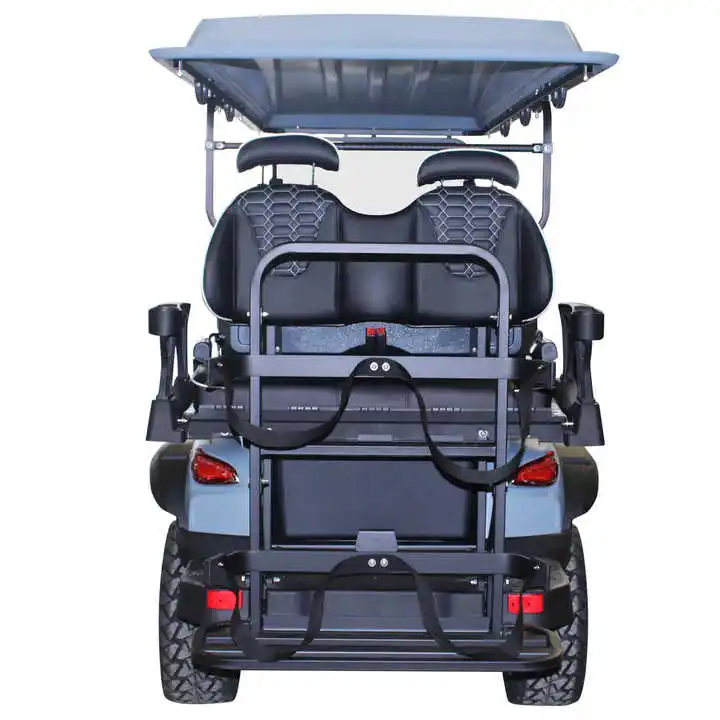 2025 New Energy Golf cart with cargo box
