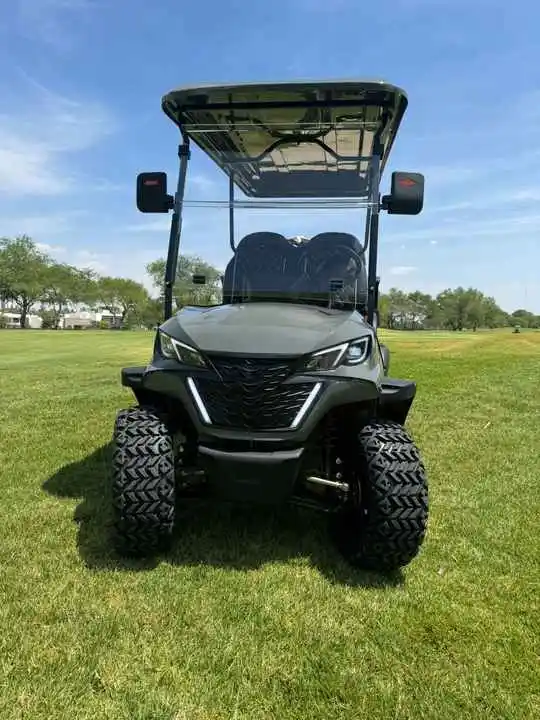 2025 New Energy Golf cart with cargo box