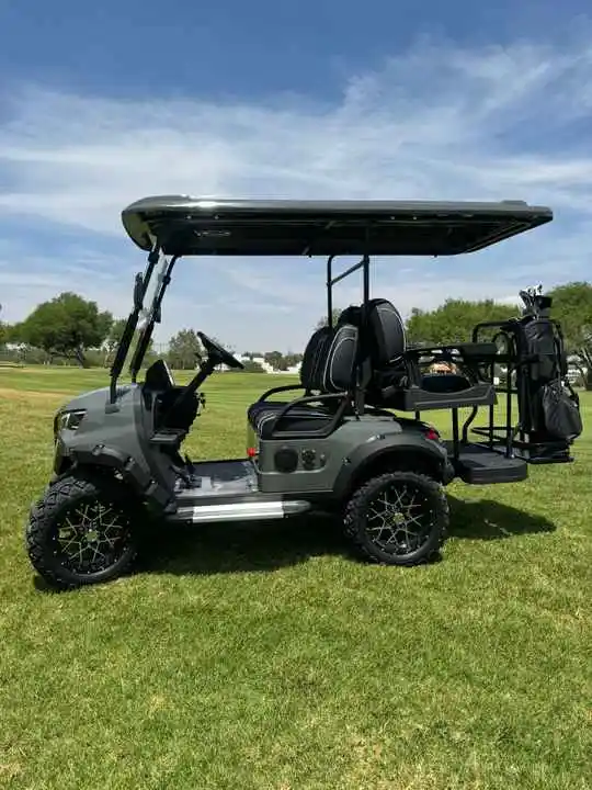 2025 New Energy Golf cart with cargo box