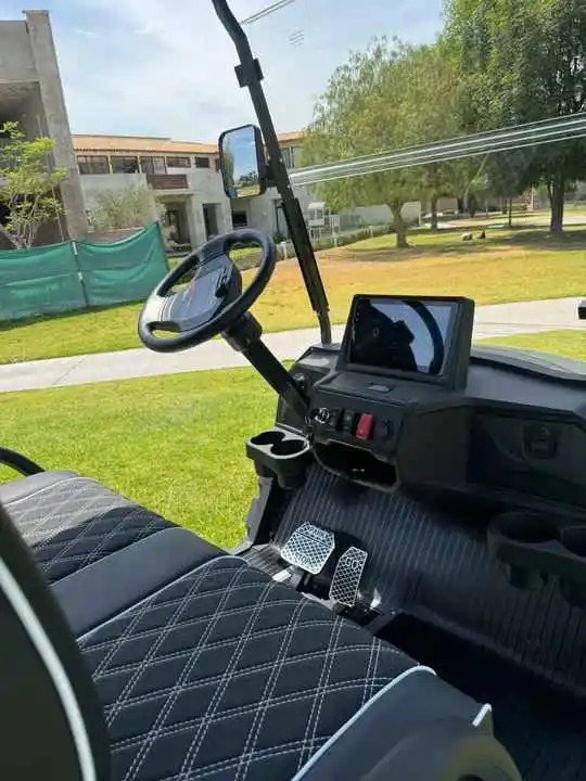 2025 New Energy Golf cart with cargo box