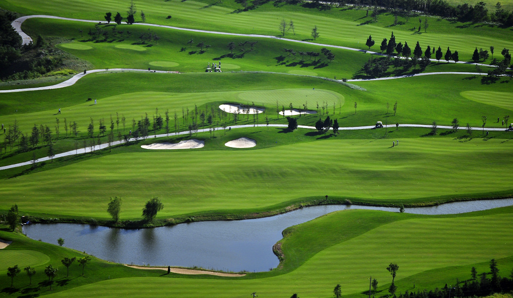 How to Match the Right Motor and Electronic Control System to Golf Carts Based on Terrain?