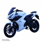 2024 factory-direct electric motorcycle sports car Horizon S model large-scale electric motorcycle