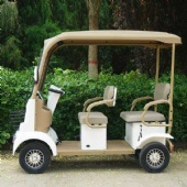 MINIBUS mini buggy golf carts electric cars Lithium Battery Economical Entertainment Park
