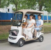 MINIBUS electric golf carts customization tourist attractions Scenic Tours