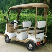 MINIBUS electric golf carts customization tourist attractions Scenic Tours