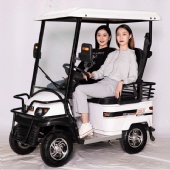 4 seat buggy max range 80km theme park rental business mobility scooters golf courses go cart mini golf carts