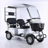 Electric travel minibus tuk tuk