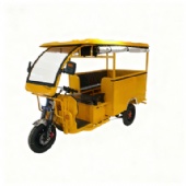 2025-Electric Tuk Tuk Convertible