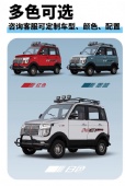 Sale Model CX Three Wheels Cargo Electric Tricycle Motorcycle Rickshaw Fully Enclosed Mobility Scooter Cargo