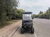 Custom golf carts - made in China.