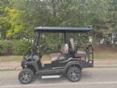 Custom golf carts - made in China.