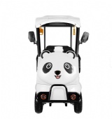 800W Motor Eco-Friendly Premium Electric Scenic Sightseeing Car Duo LA No.3 Four-Seater with Green Tours for Recreational Areas