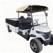 Electric Golf Cart with Cargo Box