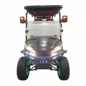 4 Seater Electric Golf Cart Off-Road Golf Buggy with LED Lights & Lithium Battery Lifted Electric Golf Cart