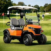 New model CE certified 2 seater golf cart