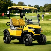 HKBG 2 seater Golf Cart Customizable golf carts