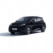 BYD Seagull 305km Vitality Edition Pure Electric Mini EV Car BYD Seagull 305km Vitality Edition Pure Electric Mini EV Car