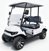 2 Passenger Electric Golf Buggy Cart 2 Passenger Electric Golf Buggy Cart
