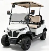 Model D Electric Vehicle with LED Headlights and Custom Logo for Resorts Golf Cart