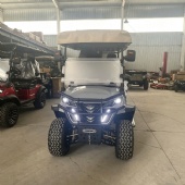 2026 New Customized High-Spec Electric Golf Cart