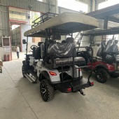 2026 New Customized High-Spec Electric Golf Cart