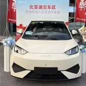 2026 New Flying Edition Seagull 405km Pure Electric Vehicle
