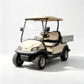 2-Seater Electric Utility Golf Cart With Aluminum Cargo Box 2-Seater Electric Utility Golf Cart With Aluminum Cargo Box