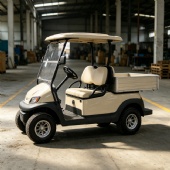2-Seater Electric Utility Golf Cart With Aluminum Cargo Box