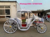 For Sale Luxury New Energy MLH Luxury Electric Horse Trailer Royal Carriage