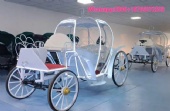 For Sale Luxury New Energy MLH Luxury Electric Horse Trailer Royal Carriage